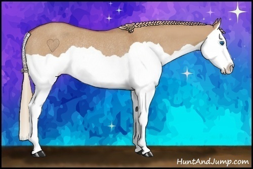 Horse Color:Red Dun Splash Rabicano 