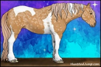 Horse Color:Palomino Ice Tobiano 