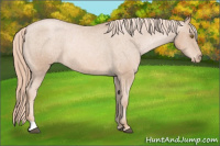 Horse Color:Chestnut Pearl Varnish Rabicano