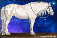 Horse Color:Chocolate Palomino Pearl Blanket Rabicano 