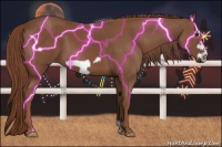 Horse Color:Chestnut Frame 