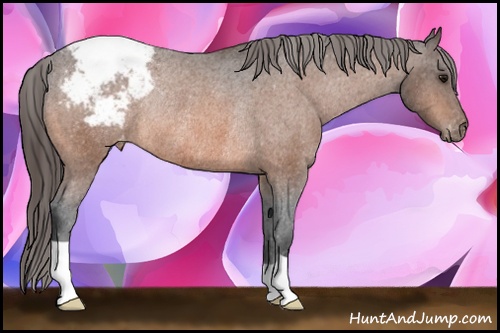 Horse Color: Bay Snowcap Rabicano 