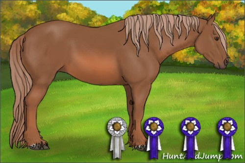 Horse Color: Chestnut 