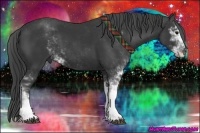 Horse Color:Black Sabino 