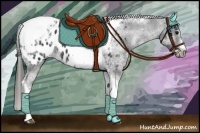 Horse Color:White Spotted Black Splash Tobiano Frame Near Leopard 
