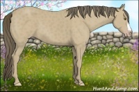 Horse Color:Classic Cream Champagne