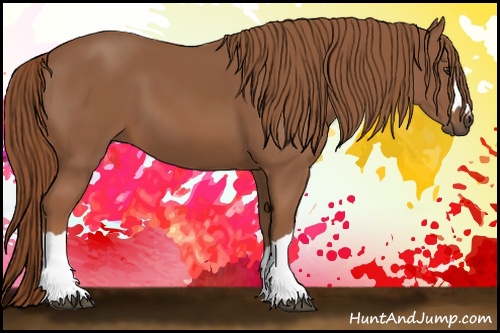 Horse Color: Chestnut 