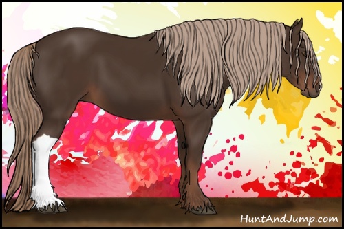 Horse Color: Liver Chestnut 