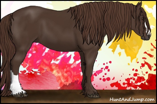 Horse Color: Liver Chestnut 