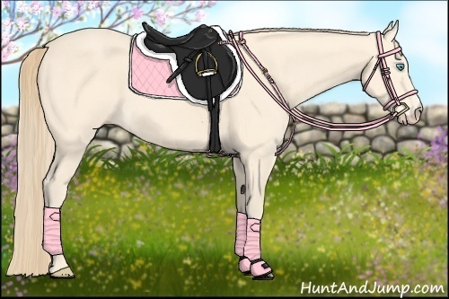 Horse Color:Perlino 