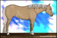 Horse Color:Silver Smoky Grullo Sabino 