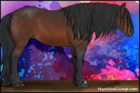 Horse Color:Brown 