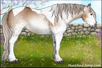 Horse Color:Gray White Spotted Silver Bay Dun Tobiano 