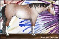 Horse Color:Gray Bay Roan Splash 