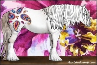 Horse Color:Gray Chestnut 