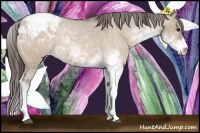 Horse Color:Brown Dun Sabino Snowcap Rabicano 
