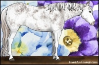 Horse Color:Liver Chestnut Sabino Varnish Rabicano 