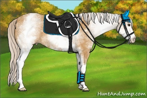 Horse Color:White Spotted Palomino