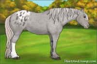 Horse Color:Silver Black Blanket 