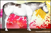 Horse Color:Gray White Spotted Bay Frame