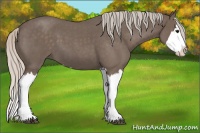 Horse Color:Silver Blue Roan Splash 