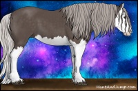 Horse Color:Silver Black Splash 