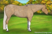Horse Color:Silver Smoky Blue Roan Tobiano 