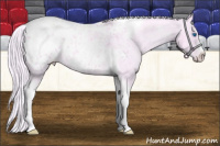 Horse Color:Watercolor Cremello Roan Dun Splash Tobiano Frame Appaloosa Rabicano 