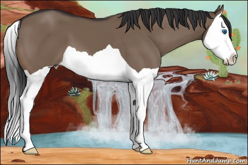 Horse Color: Brown Dun Splash 