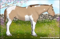 Horse Color:Red Dun Tobiano