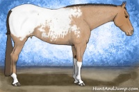 Horse Color:Bay Roan Tobiano Near Fewspot 