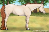 Horse Color:Sable Cream Champagne Pearl 