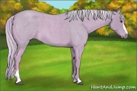 Horse Color:Watercolor Palomino Roan Sabino 