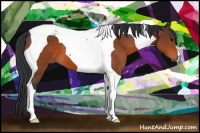 Horse Color:Bay Tobiano 