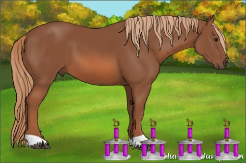 Horse Color: Chestnut 