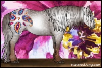 Horse Color:Gray Chestnut 