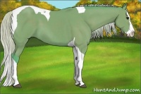 Horse Color:Watercolor Silver Black Splash Tobiano 