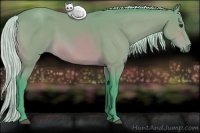 Horse Color:Watercolor Silver Bay 