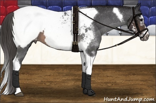 Horse Color: Brown Splash Tobiano Frame Snowcap 
