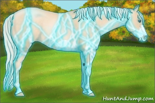 Horse Color: Thunderstruck Silver Sable Cream Champagne Pearl Frame 