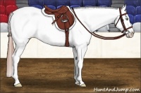 Horse Color:Amber Champagne Roan Splash Blanket 