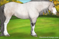 Horse Color:Buckskin Roan Sabino