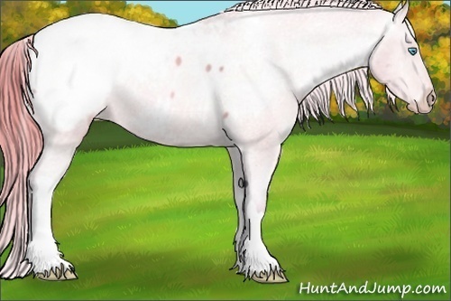 Horse Color: Watercolor Buckskin Pearl Snowcap 