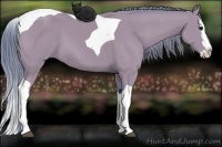 Horse Color:Watercolor Black Splash Tobiano 