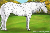 Horse Color:Watercolor Silver Smoky Black Tobiano Appaloosa