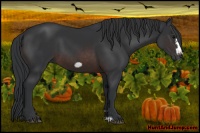 Horse Color:Brown Frame 