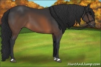 Horse Color:Brown 