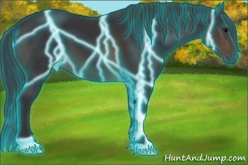 Horse Color: Thunderstruck Brown 