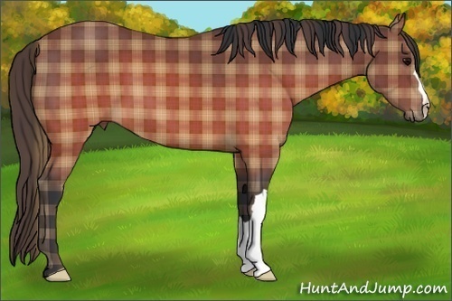 Horse Color: Plaid  Brown 