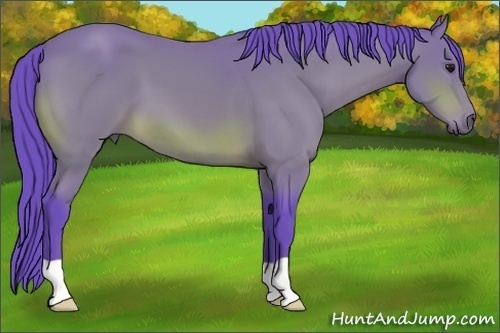 Horse Color: Watercolor Bay 
